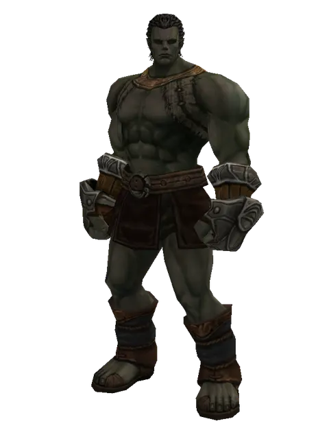 Leather (light armor) on a male Orc fighter, front view