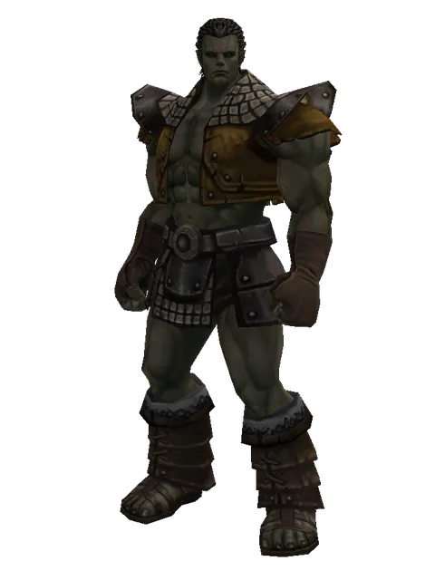 Lion Skin (light armor) on a male Orc fighter, front view