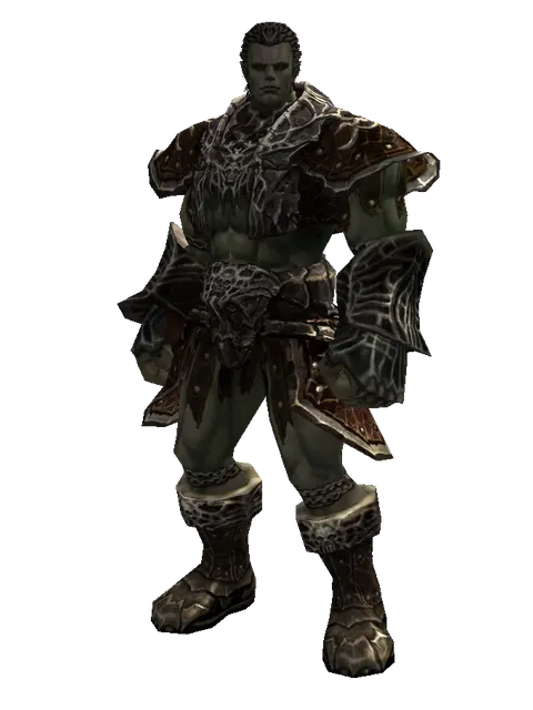 Rind Leather (light armor) on a male Orc fighter, front view