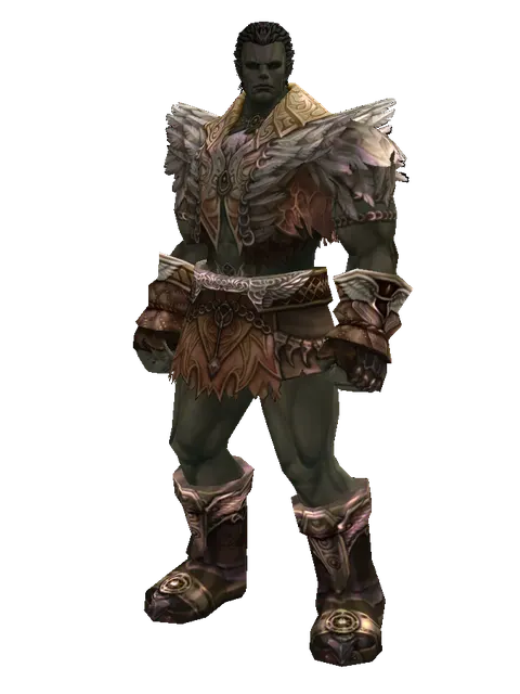 Major Arcana Robe Set on a male Orc fighter, front view