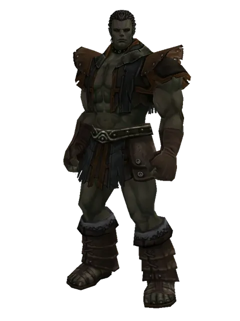 Set of Devotion on a male Orc fighter, front view