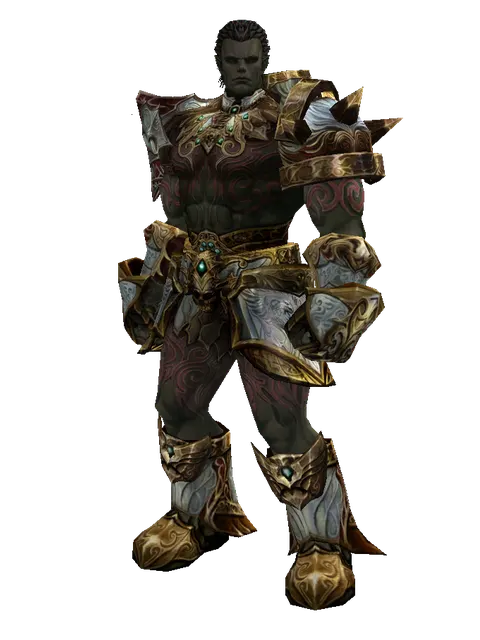 Dynasty Set - Robe on a male Orc fighter, front view