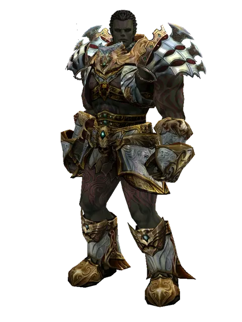 Dynasty Set - Robe on a male Orc fighter, front view