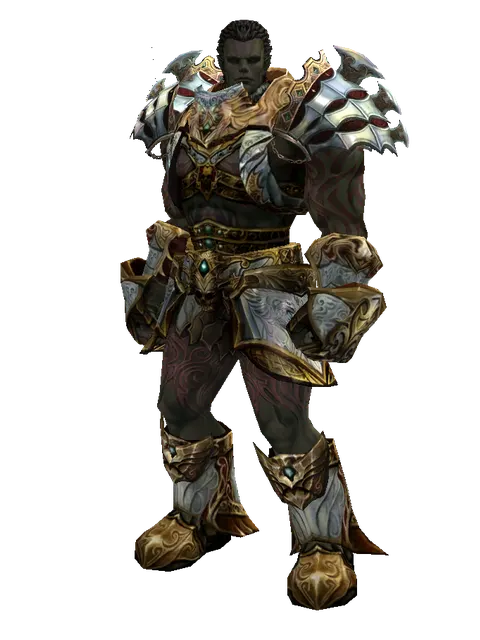 Dynasty Set - Robe on a male Orc fighter, front view