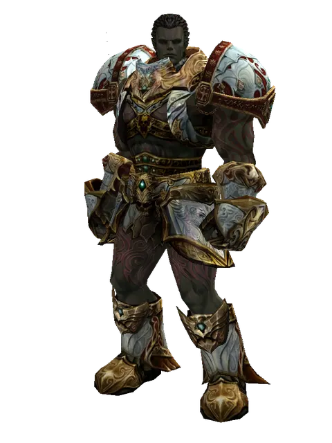 Dynasty Set - Robe on a male Orc fighter, front view