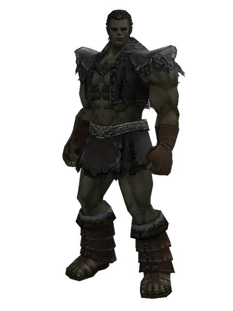 Elven Mithril (robe) on a male Orc fighter, front view