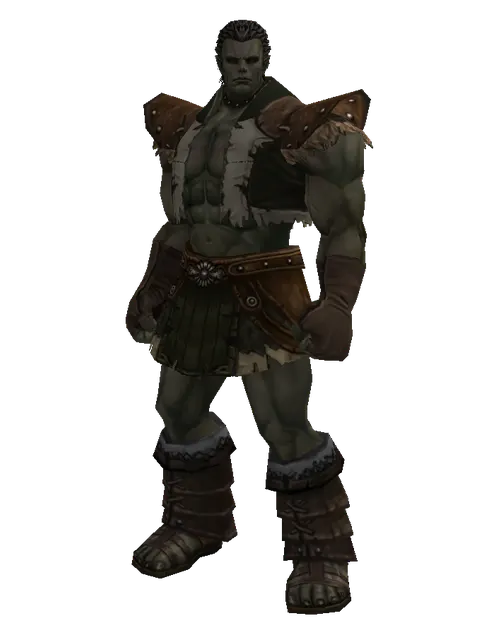Feriotic (robe) on a male Orc fighter, front view
