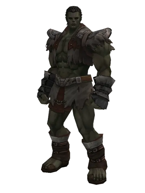 Set of Knowledge on a male Orc fighter, front view