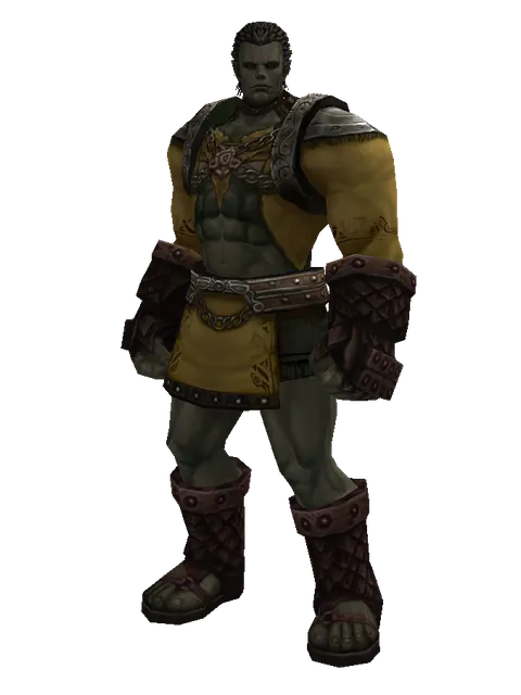 Mithril Set - Robe on a male Orc fighter, front view