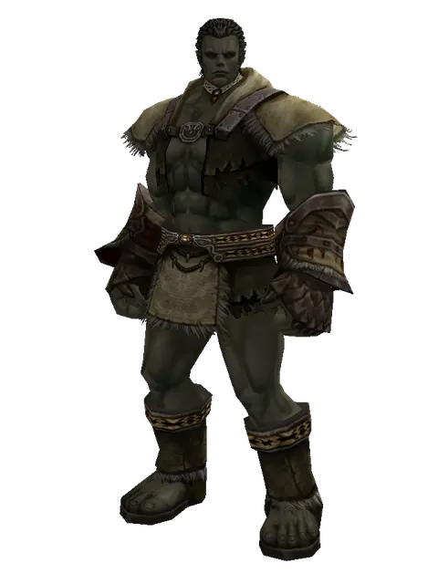 Seal (robe) on a male Orc fighter, front view