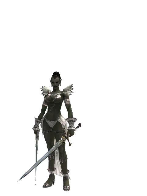 Dynasty Dual Sword on a female Orc mystic, front view