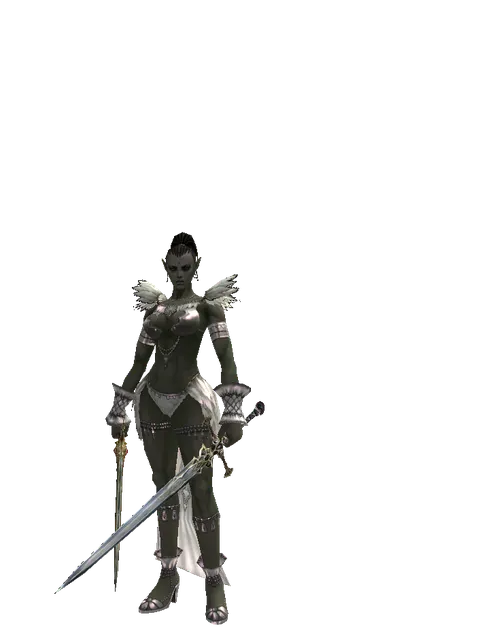 Icarus Dual Sword on a female Orc mystic, front view