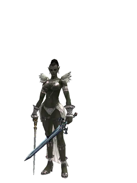 Raid Sword*Caliburs on a female Orc mystic, front view