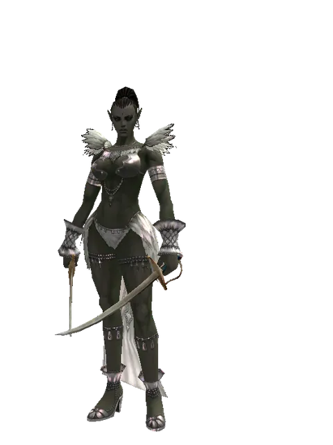 Saber*Saber on a female Orc mystic, front view