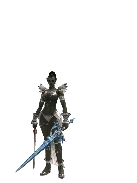 Vesper Dual Sword on a female Orc mystic, front view