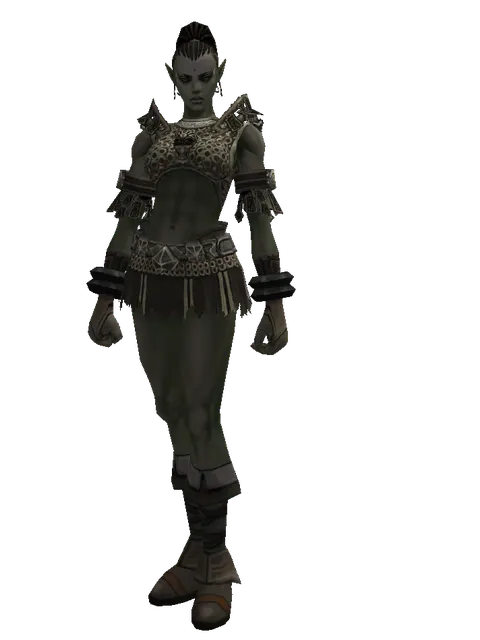 Ring Mail (heavy armor) on a female Orc mystic, front view