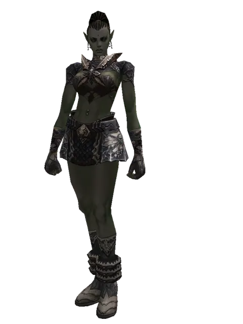 Avadon Leather Set on a female Orc mystic, front view