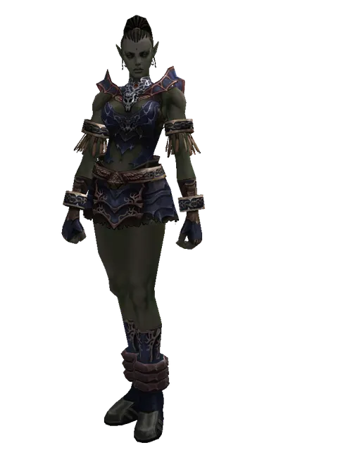 Blue Wolf Leather Set on a female Orc mystic, front view