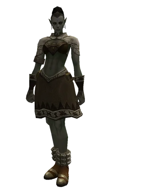 Drake Leather Set on a female Orc mystic, front view