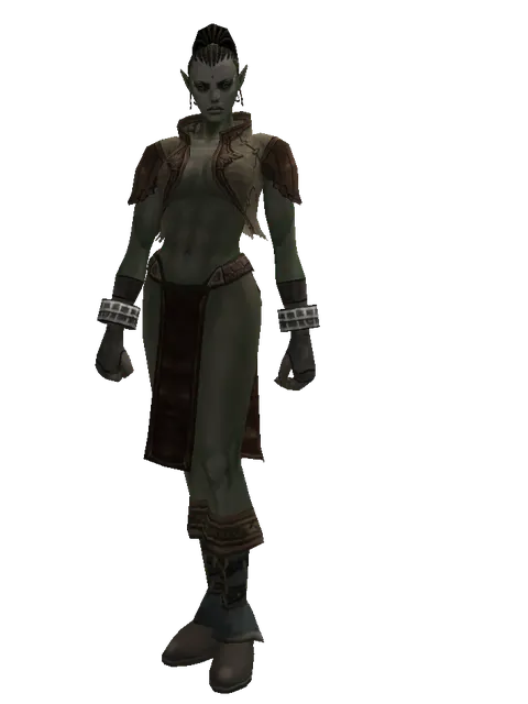 Leather (light armor) on a female Orc mystic, front view