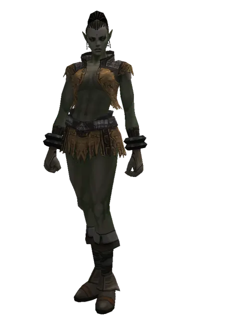 Lion Skin (light armor) on a female Orc mystic, front view