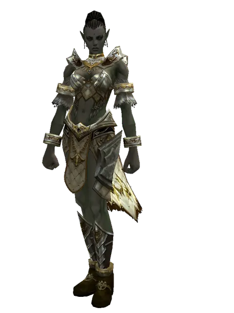 Majestic Leather Set on a female Orc mystic, front view