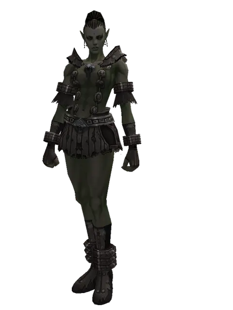 Reinforced Leather Set on a female Orc mystic, front view