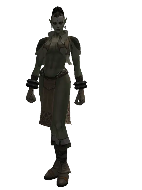 Squire's (light armor) on a female Orc mystic, front view