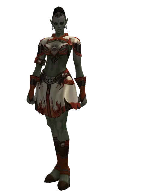 Theca Leather Set on a female Orc mystic, front view