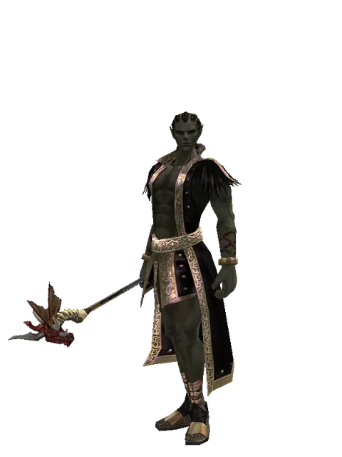 Flaming Dragon Skull on a male Orc mystic, front view