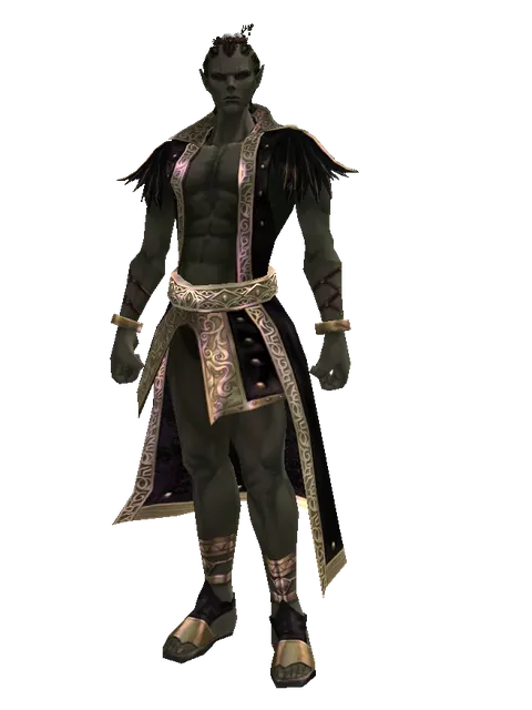Bird Nest on a male Orc mystic, front view