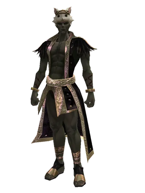 Cat the Cat Hat (?) on a male Orc mystic, front view