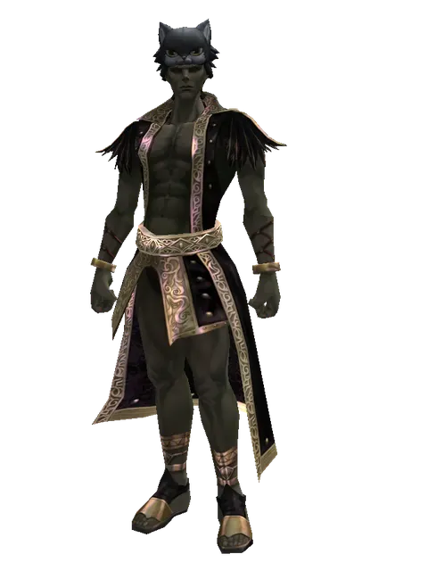 Kai the Cat Hat on a male Orc mystic, front view