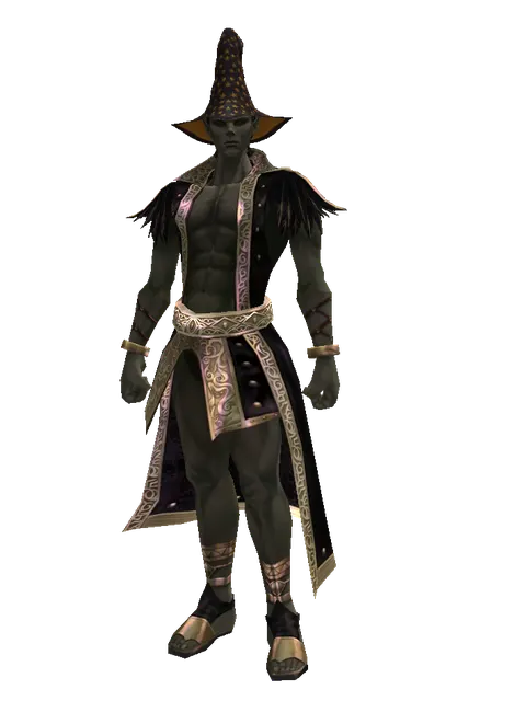 Magic Hat (?) on a male Orc mystic, front view
