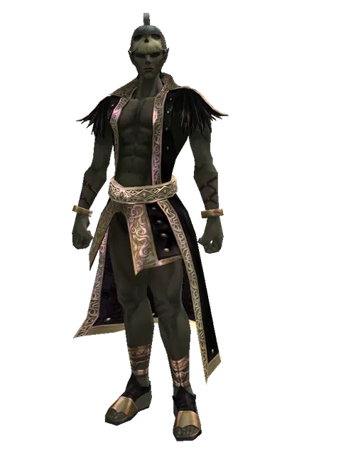Skull Hat on a male Orc mystic, front view
