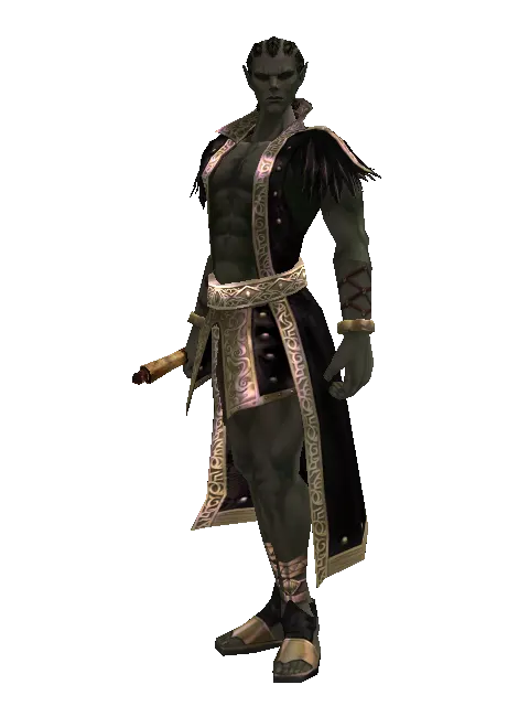 Scroll of Wisdom on a male Orc mystic, front view