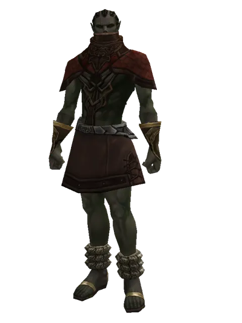 Compound Set on a male Orc mystic, front view