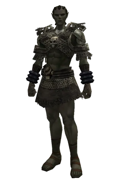 Ring Mail (heavy armor) on a male Orc mystic, front view