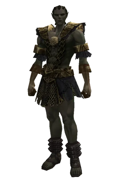 Ubiquitous (heavy armor) on a male Orc mystic, front view