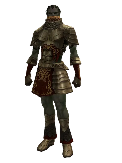 Zubei's Set on a male Orc mystic, front view