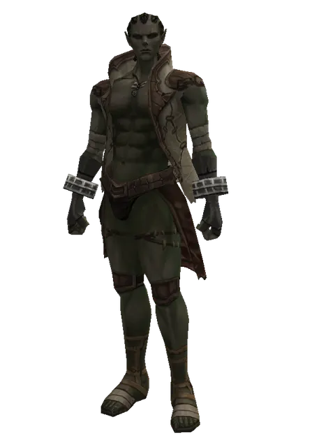 Leather (light armor) on a male Orc mystic, front view