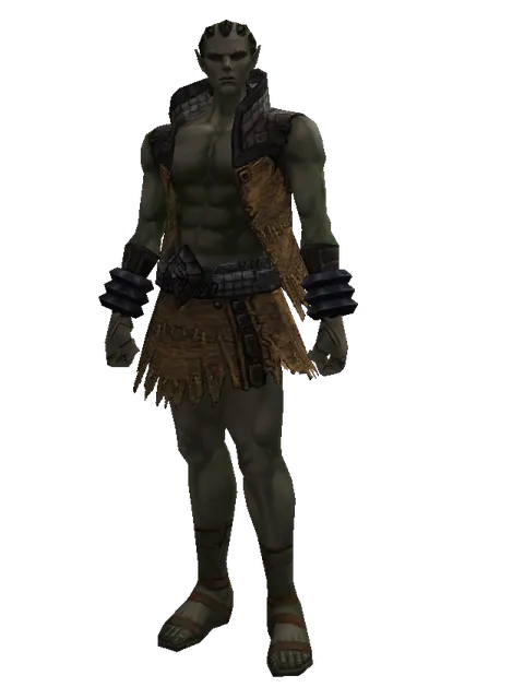 Lion Skin (light armor) on a male Orc mystic, front view