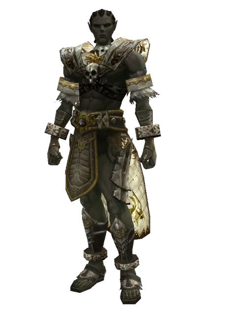 Majestic Leather Set on a male Orc mystic, front view