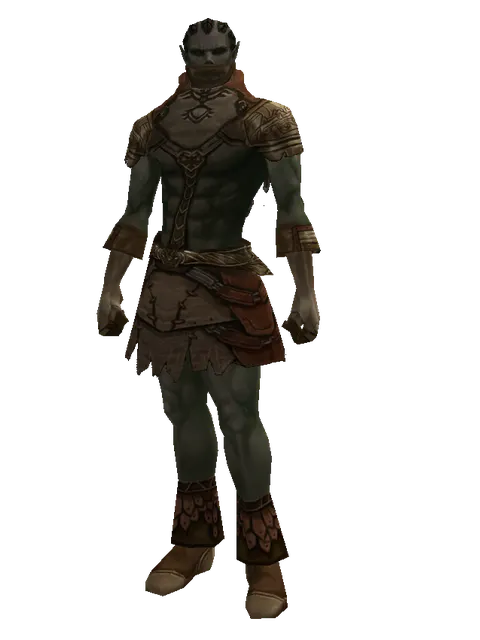 Manticore Skin Set on a male Orc mystic, front view