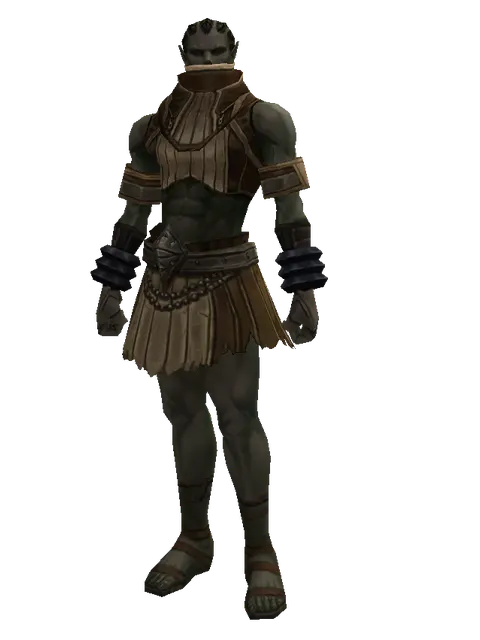 Puma Skin (light armor) on a male Orc mystic, front view