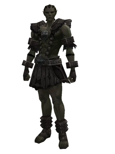 Reinforced Leather Set on a male Orc mystic, front view