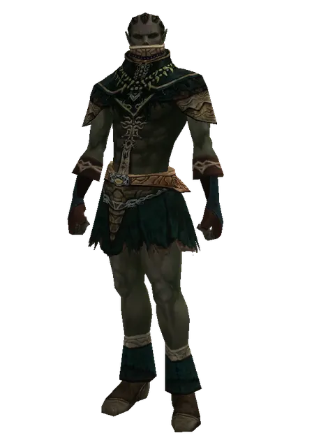 Rind Leather (light armor) on a male Orc mystic, front view