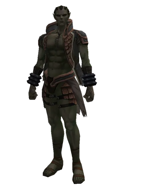 Wooden Set on a male Orc mystic, front view