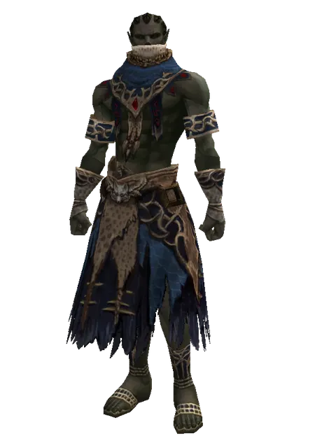 Blue Wolf Set - Robe on a male Orc mystic, front view