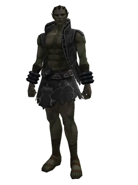Elven Mithril (robe) on a male Orc mystic, front view